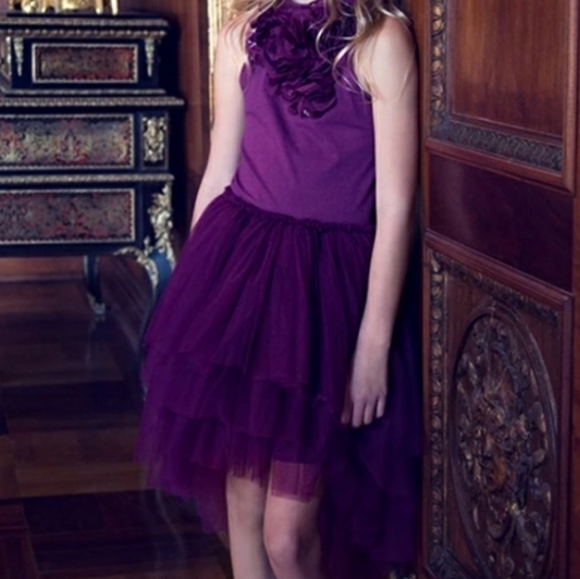 Tutu du monde TTMD TUTU dress purple ombre 8 9 10 - Picture 14 of 15